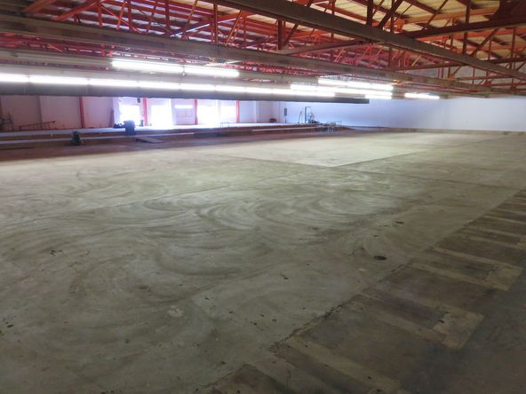 Entire Building